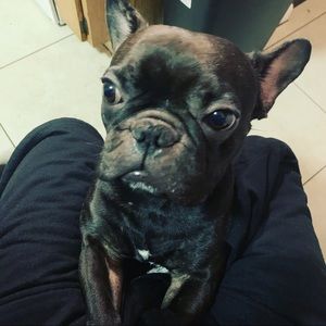 Meet your Posher, Joseph